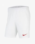 SHORT TURQUIE DOMICILE 2020 2021 (001)