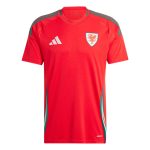 Maillot Pays de Galles Domicile 2024 2025