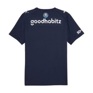 Maillot PSV Eindhoven Exterieur 2025 2026 (2)