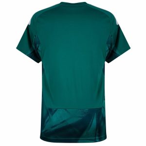 Maillot Allemagne Domicile 2026 2027 Gardien (2)