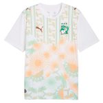 Maillot Cote d'Ivoire Exterieur 2026 2027 (1)