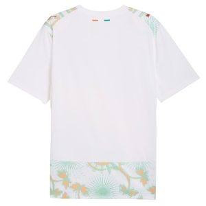 Maillot Cote d'Ivoire Exterieur 2026 2027 (2)