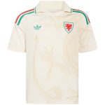 Maillot Pays de Galles Exterieur 2026 2027 (1)