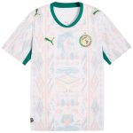 Maillot Senegal Domicile 2026 2027 (1)