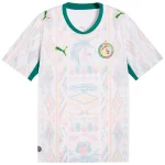 Maillot Senegal Domicile 2026 2027 (1)