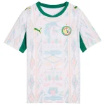 Maillot Senegal Domicile 2026 2027 Enfant (1)