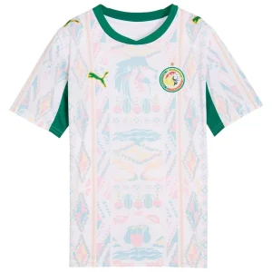 Maillot Senegal Domicile 2026 2027 Enfant (1)
