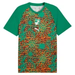 Maillot Cote d'Ivoire Pre-Match 2026 2027 (1)
