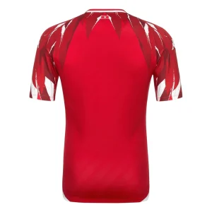 Maillot Tunisie Exterieur 2026 2027 (2)